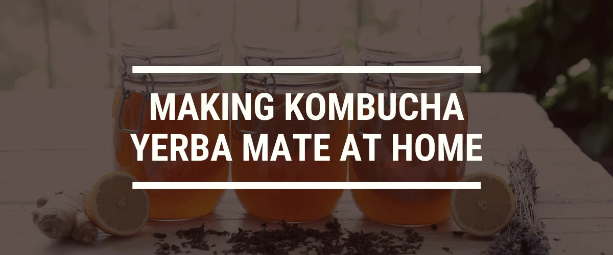 Making Kombucha Yerba Mate at Home: A Step-By-Step Guide