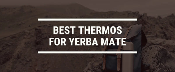 Best Thermos for Mate — Buying Guide