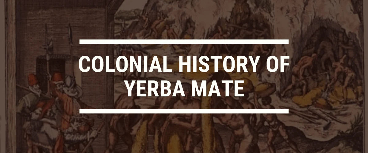 The Colonial History of Yerba Mate