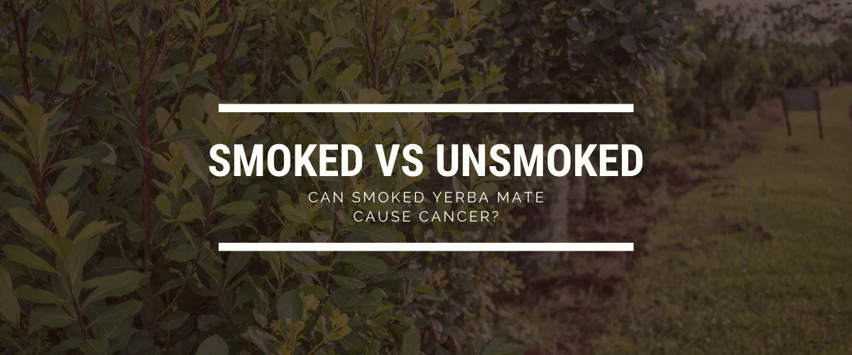 Smoked vs. Unsmoked Yerba Mate: Can Smoked Yerba Mate Cause Cancer?