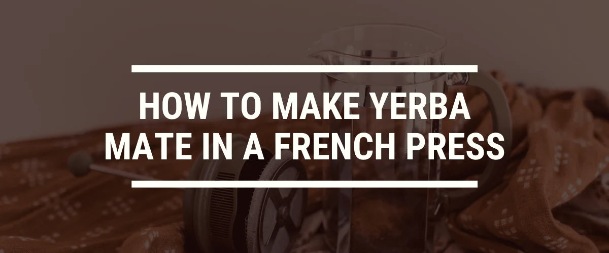 How To Make Yerba Mate In A French Press