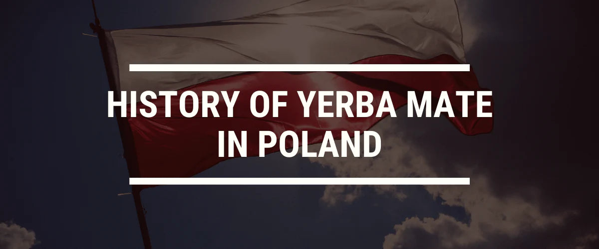 The History of Yerba Mate in Poland