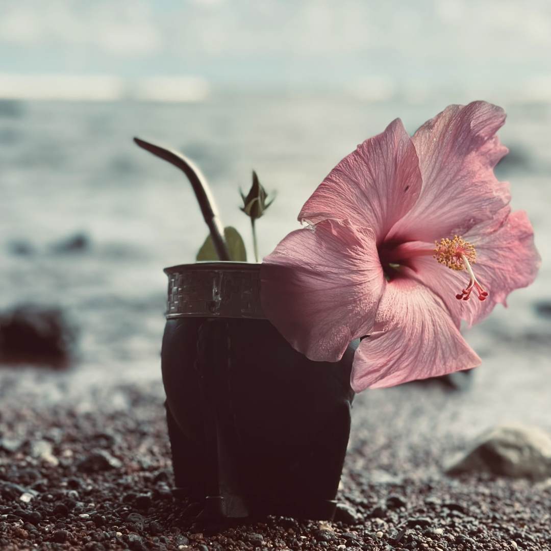 Hibiscus Yerba Mate Blend