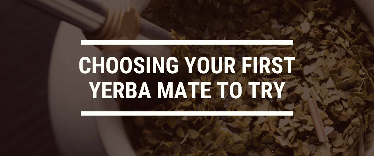 Choosing Your First Yerba Mate to Try