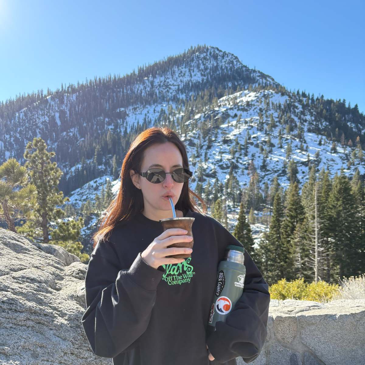 From Seed to Drink: Everything About Yerba Mate Production