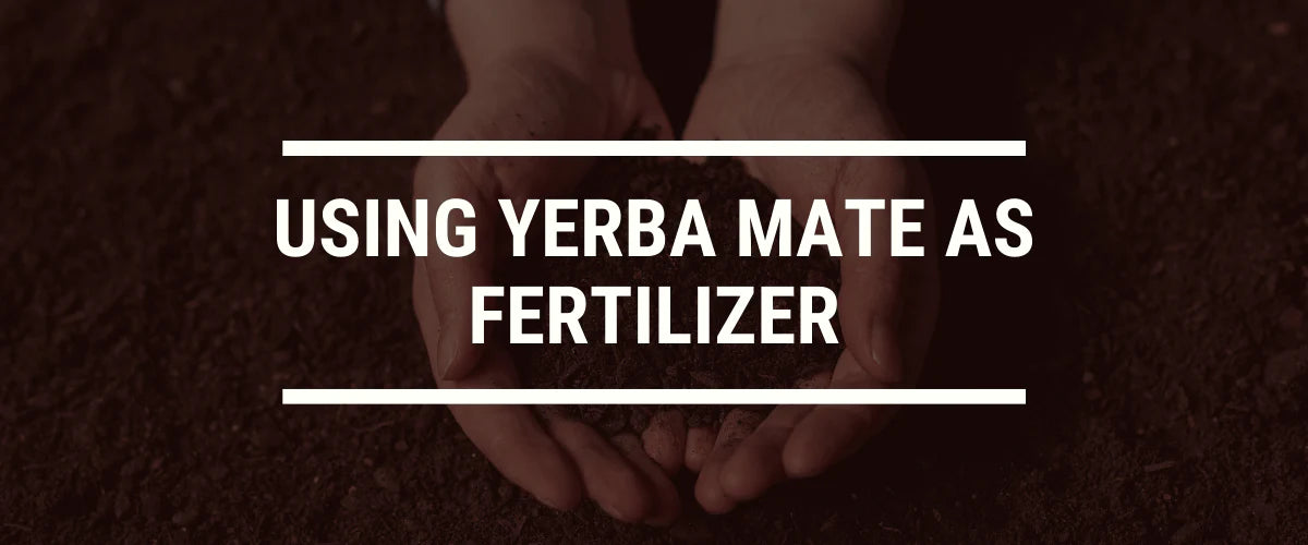 Using Yerba Mate as Fertilizer