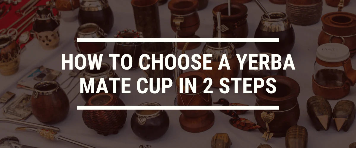 How to Choose a Yerba Mate Cup in 2 Steps