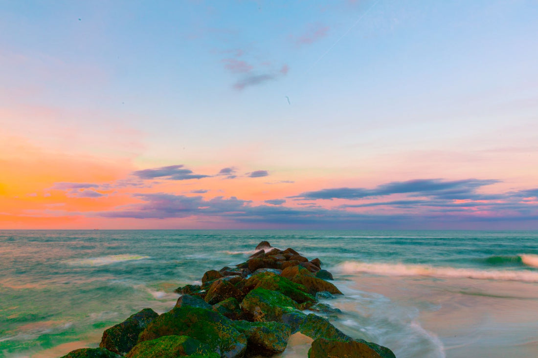New Jersey beach where to buy yerba mate