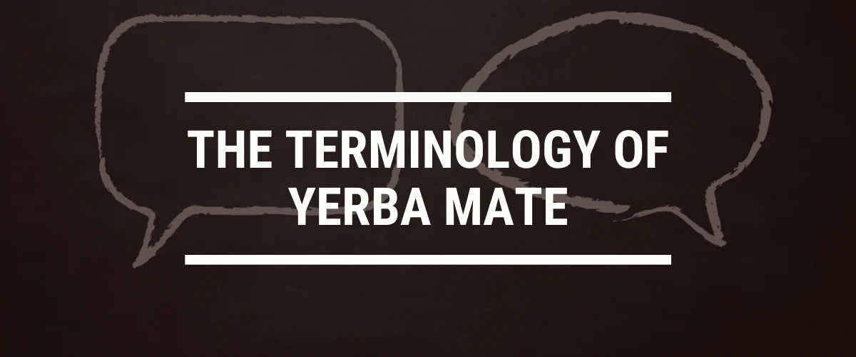The Terminology of Yerba Mate