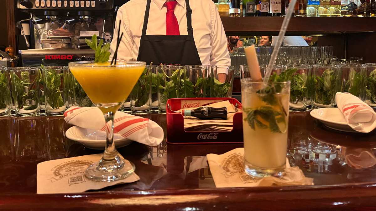 Yerba Mate Infused Cocktail Recipes