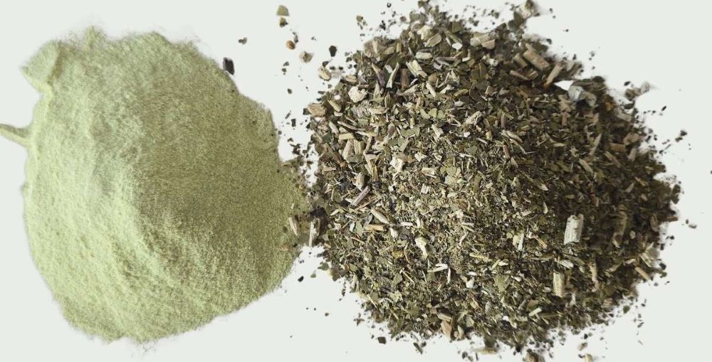 TikTok Yerba Mate Powders vs. Traditional Yerba Mate: What You Need to Know Before You Buy
