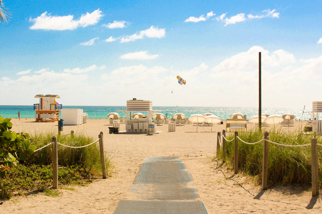 Where to Buy Yerba Mate in Florida