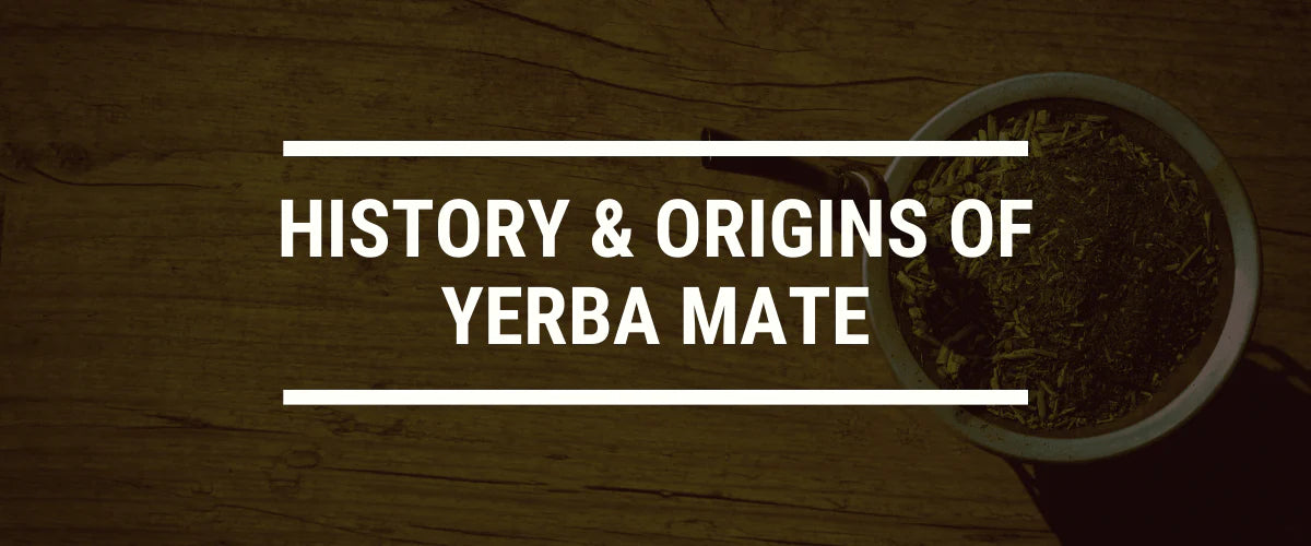 The History and Origins of Yerba Mate