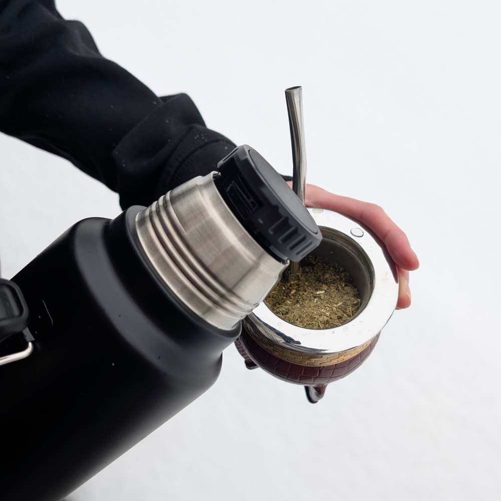 what is yerba mate and how to start