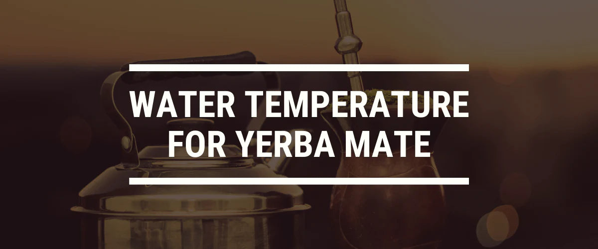 What’s the Best Water Temperature for Yerba Mate?