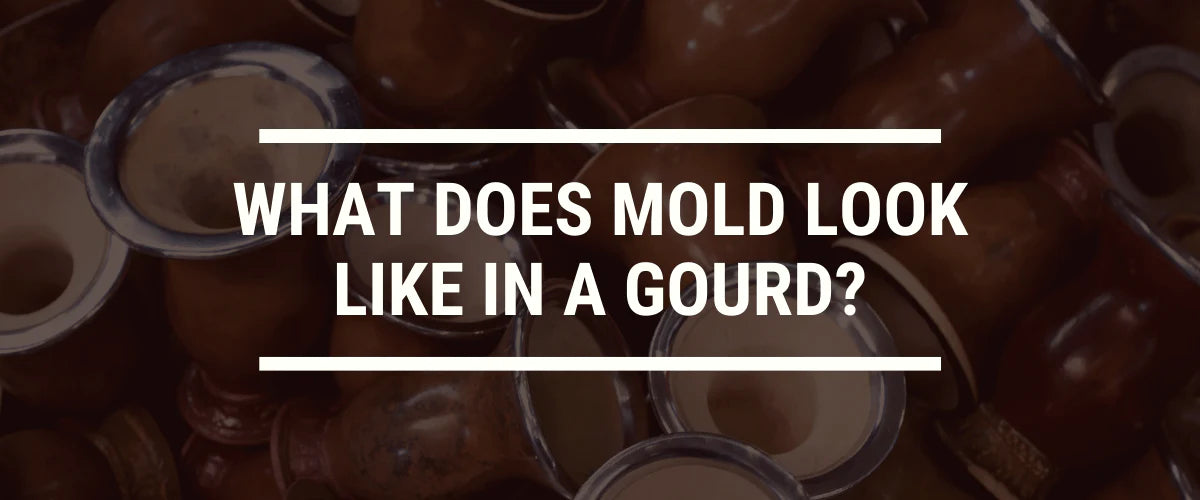 What Does Mold Look Like In A Yerba Mate Gourd?