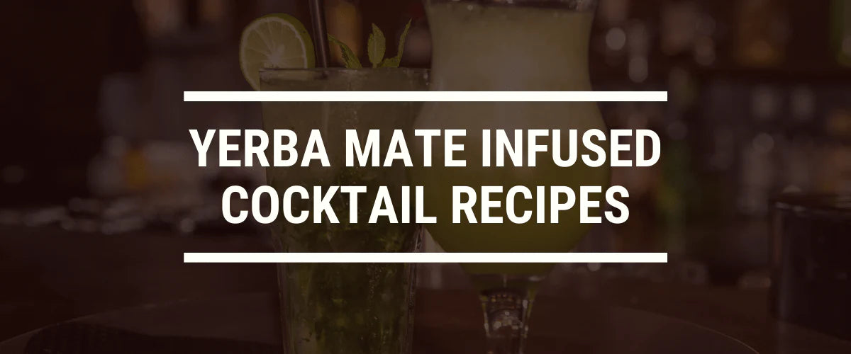 Yerba Mate Infused Cocktail Recipes