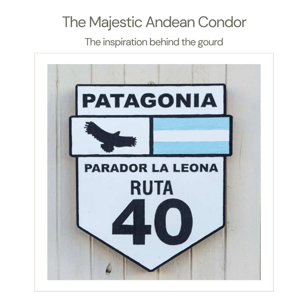 Patagonia Andean Condor Ruta 40 sign