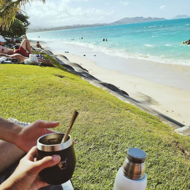 Yerba mate in Hawaii