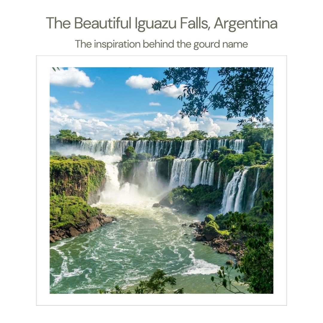 Iguazu waterfalls mate cup Argentina