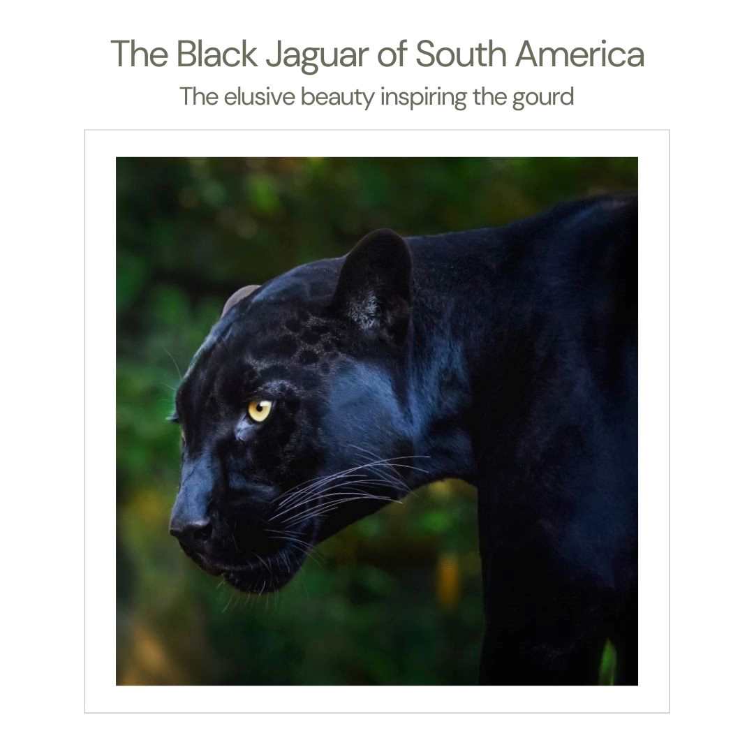 South American jaguar inspiring the Jaguar Salteño mate gourd name