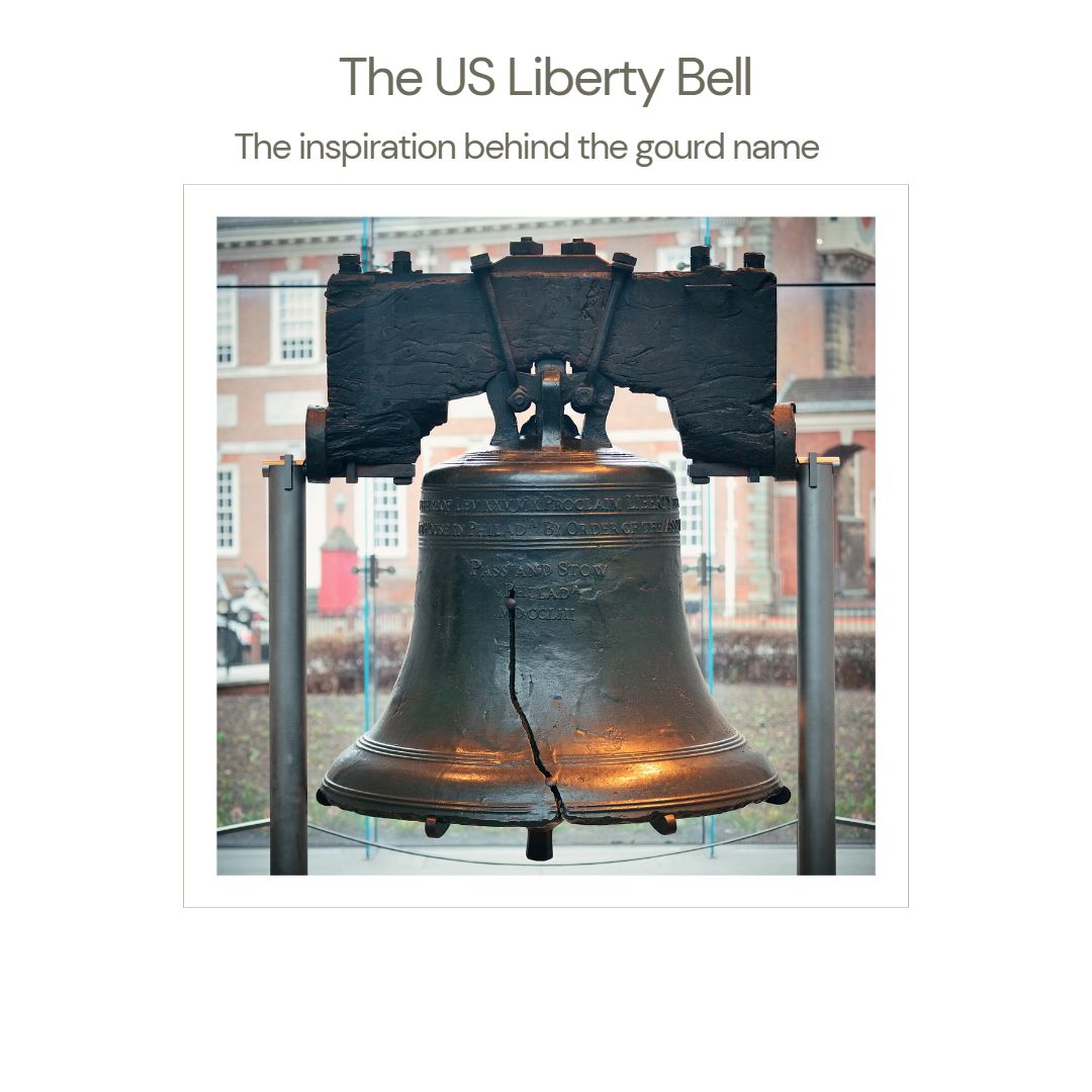 Liberty Bell mate cup souvenir