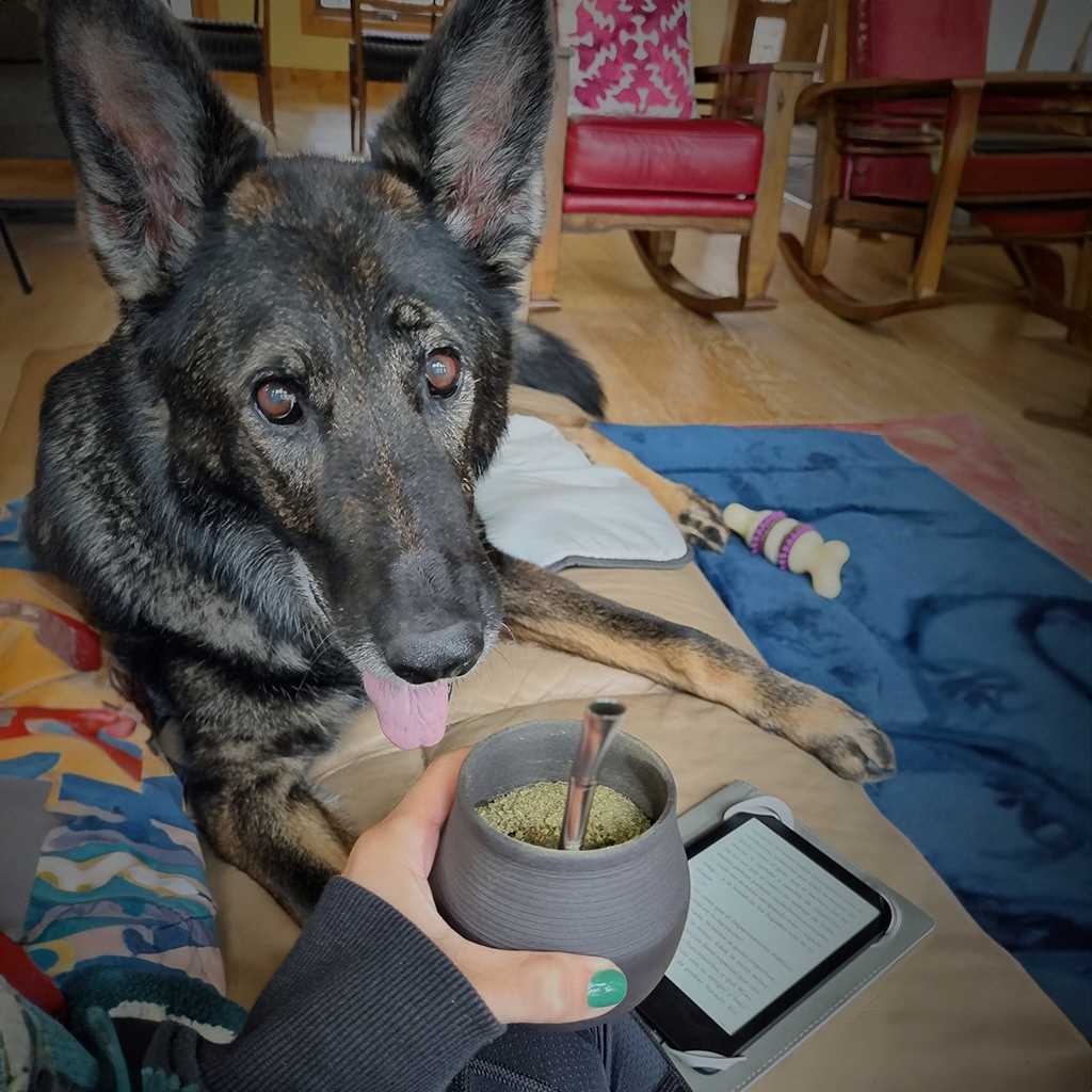 Drinking from ceramic mate with dog