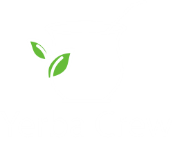 Learn what Yerba Mate is and how to drink your mate - Yerba Crew