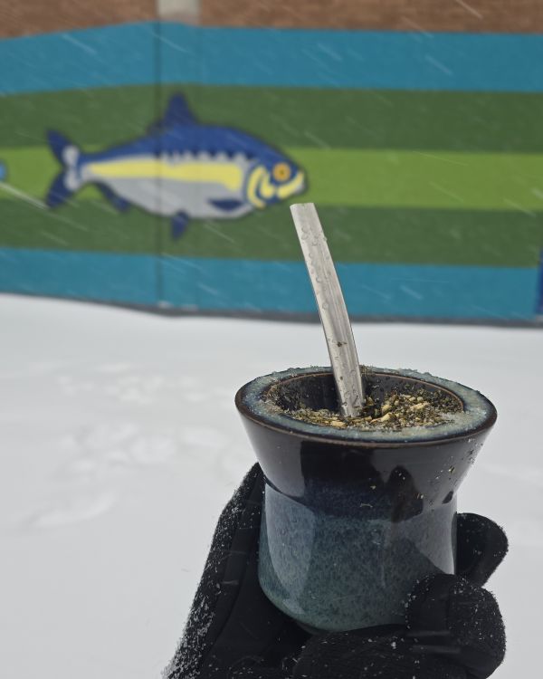 Bombilla Plana - Slim Profile