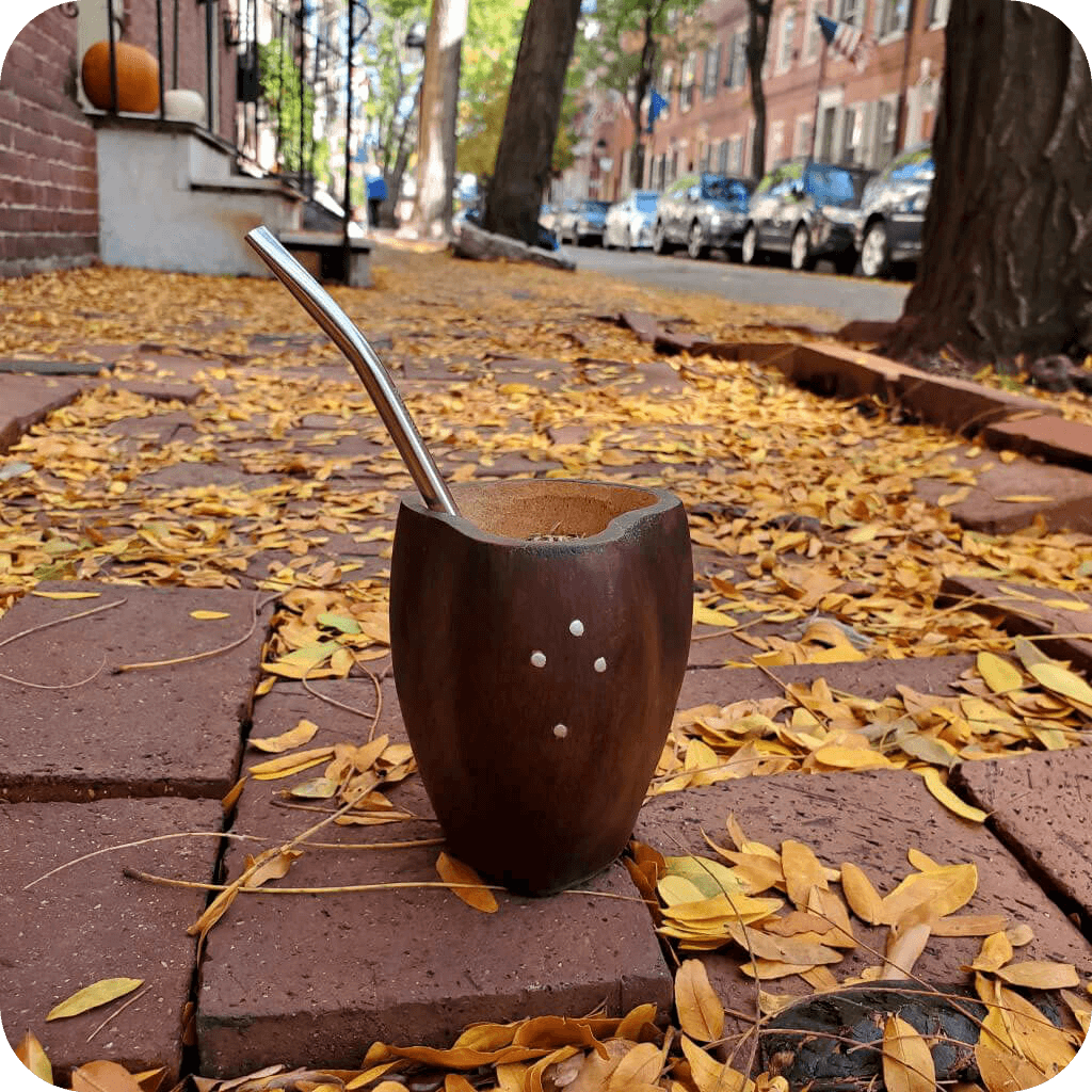 Culpeo Zorro wooden yerba mate set - Yerba Crew